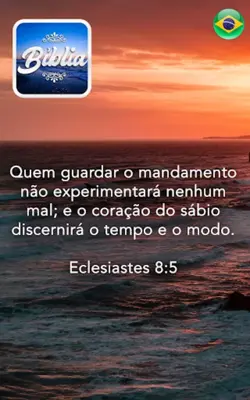 Bíblia offline android App screenshot 13